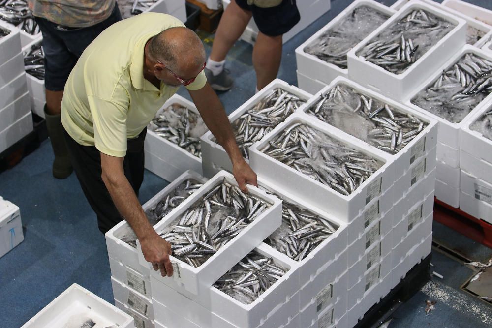 Así es un día de trabajo en la pescadería de Mercamálaga