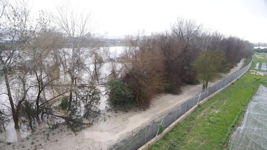 Un paseo fluvial de tres kilómetros por el Guadalquivir unirá los puentes de San Rafael e Ibn Firnás