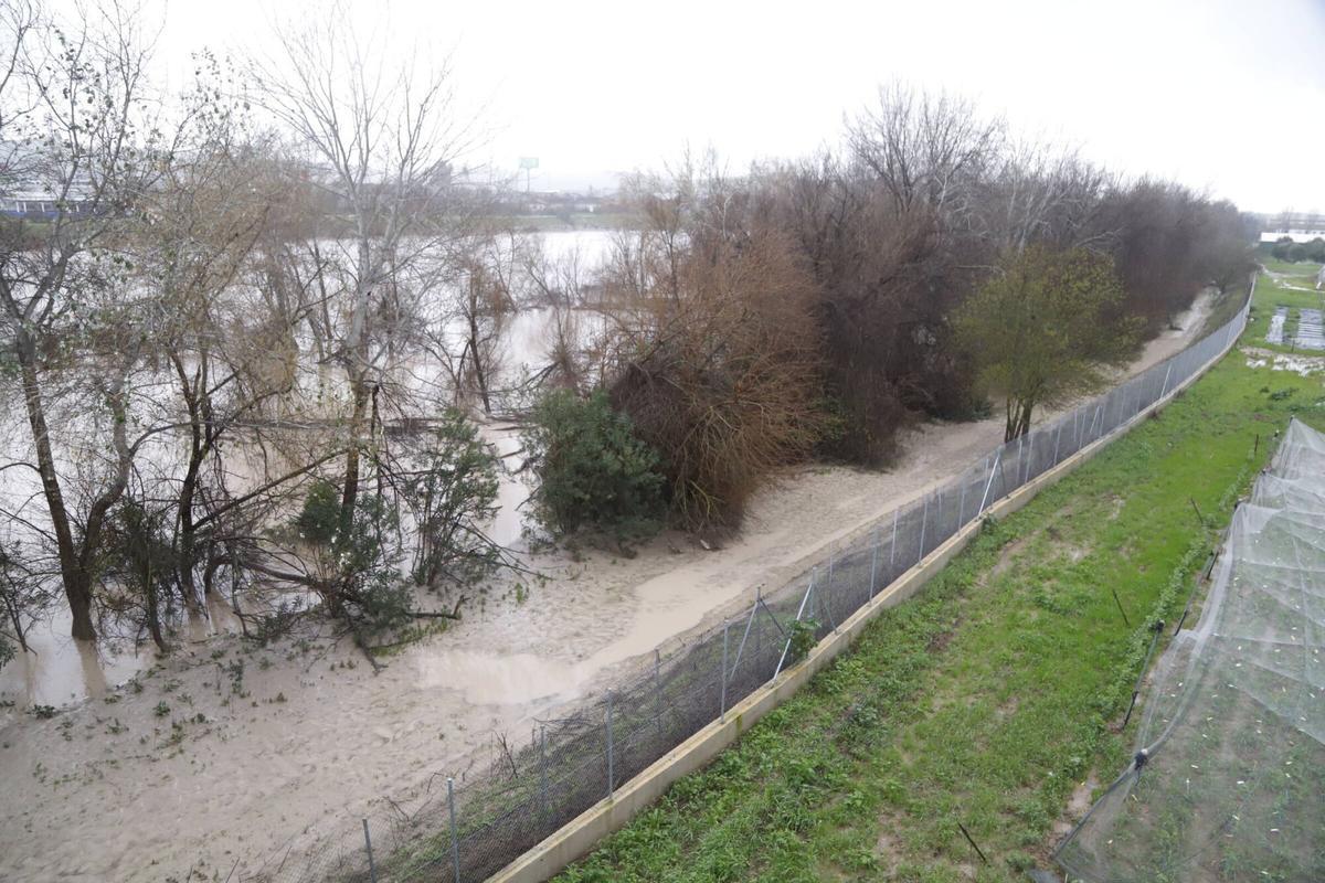 Tramo junto al río y la zona de la Alameda del Obipos donde se actuará con el proyecto.