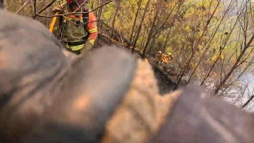 Los equipos de extinción trabajando en el incendio de la Vall d'Uixó