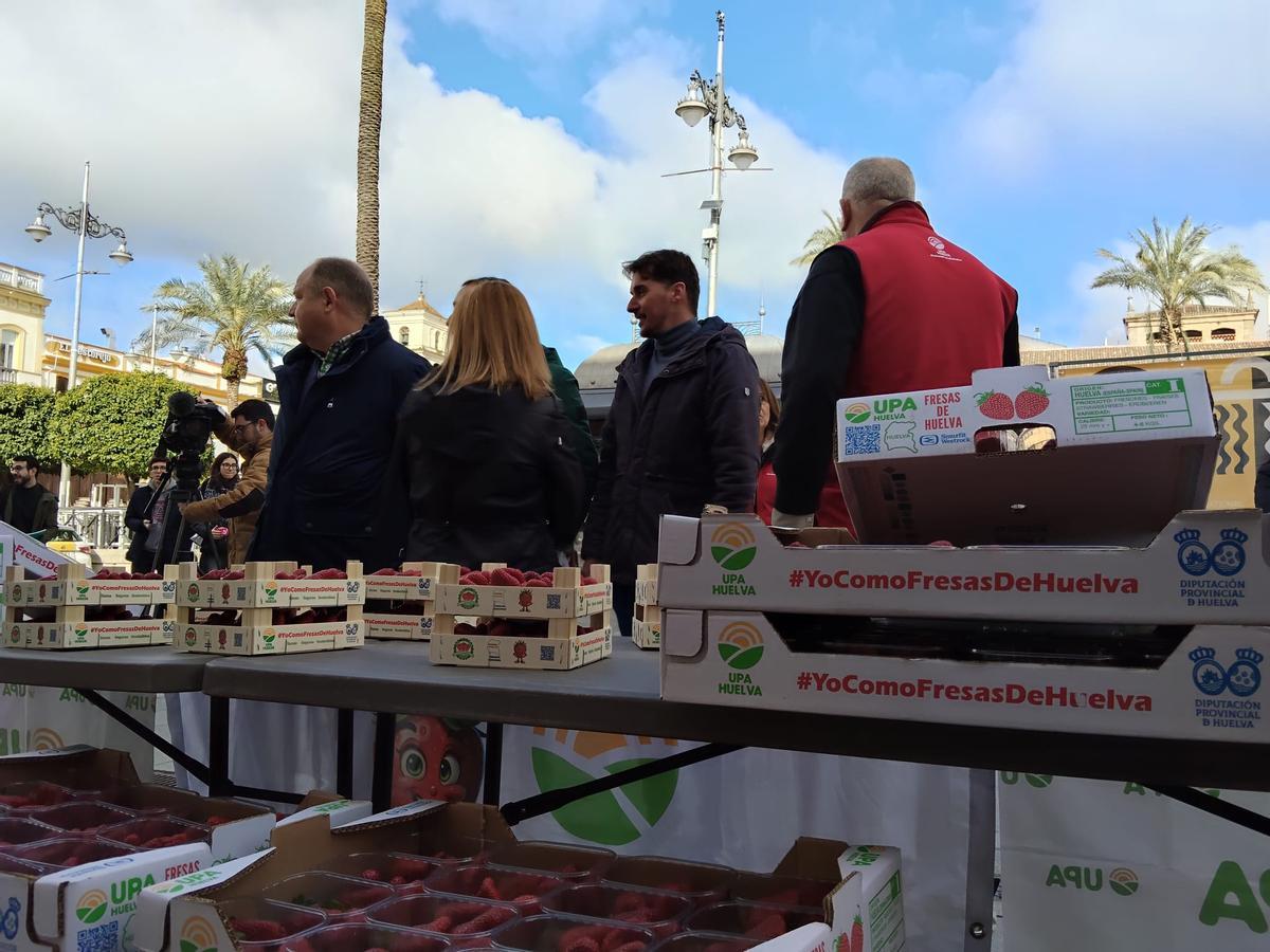 Galería | Reparto de fresas en la Plaza de España de Mérida, un acto de UPA-UCE