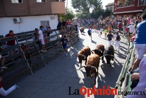 Segundo encierro de Calasparra 2014