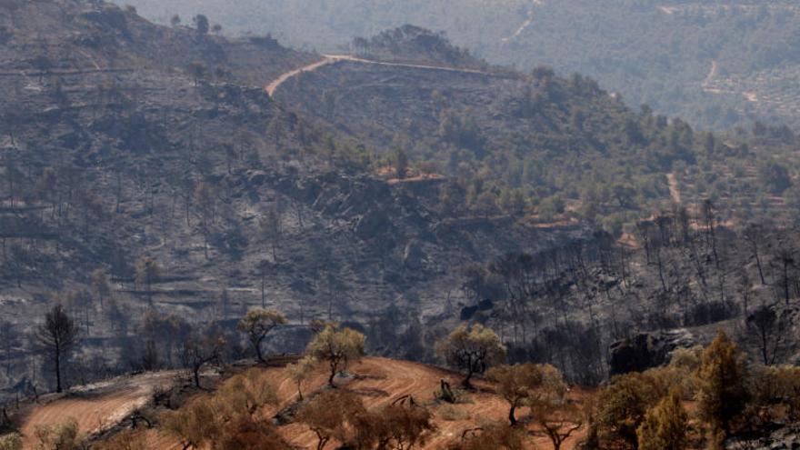 Els Bombers donen per estabilitzat l&#039;incendi de la Ribera d&#039;Ebre després de cremar 6.000 hectàrees