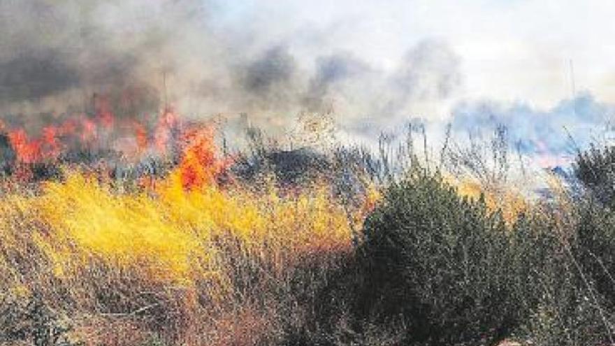 Alarma por la proliferación de incendios en zonas agrícolas