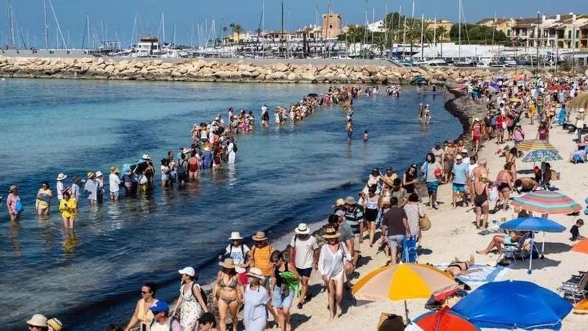 Tausende fordern Schutz des Strandes: So war der Protest am Es Trenc