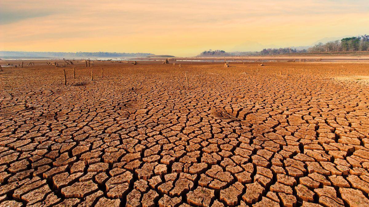 Les previsions auguren l’arribada d’un Superniño amb temperatures de rècord