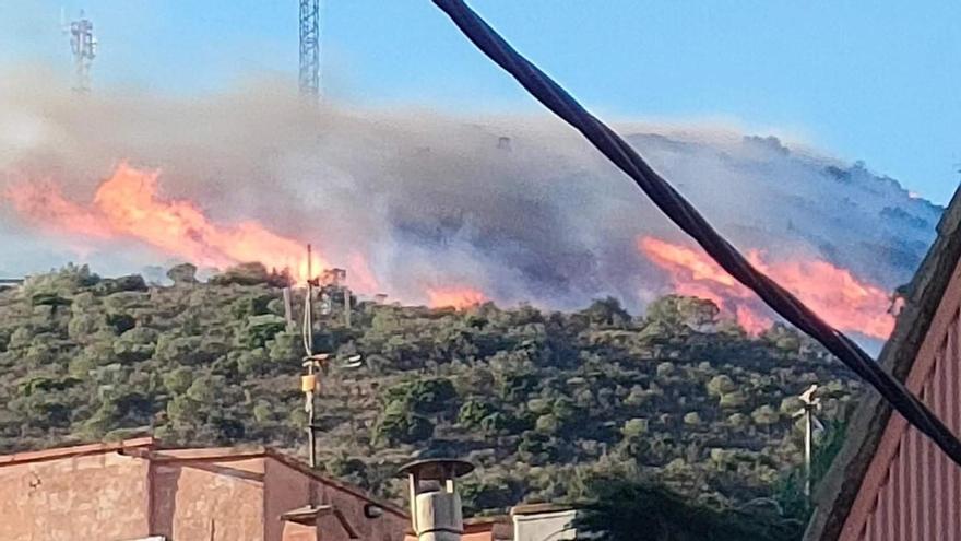 Un incendi crema a Portbou empès per la tramutana.