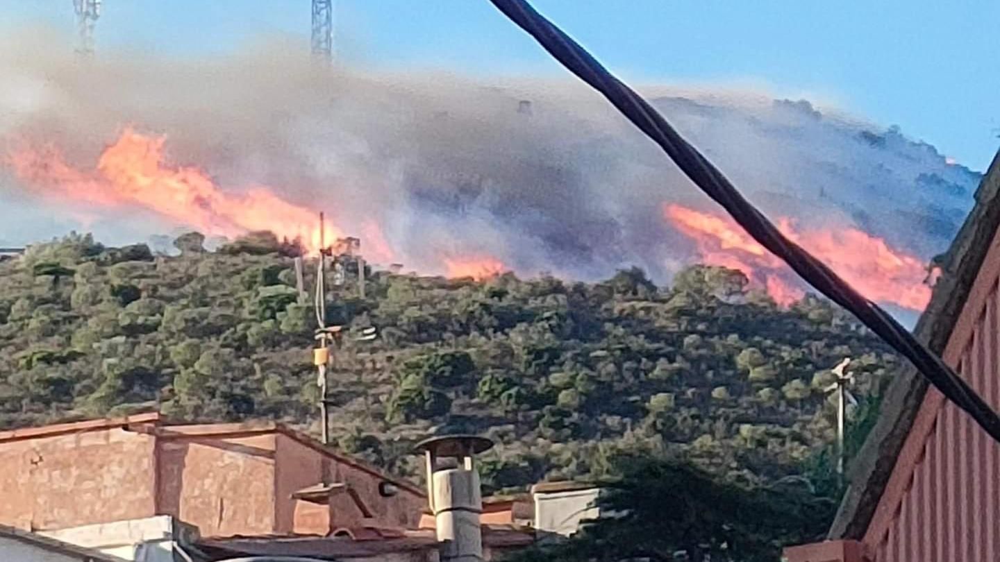 Un incendi crema a Portbou empès per la tramutana.