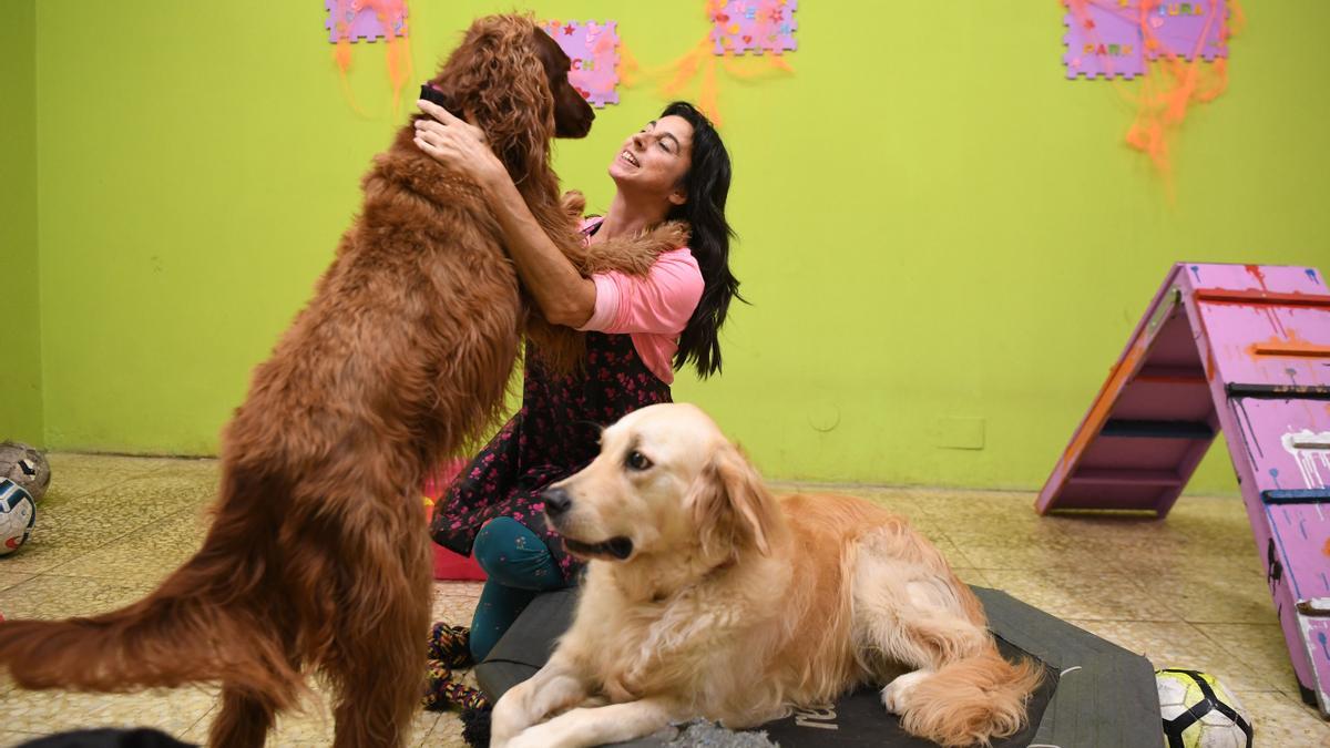 GUARDERÍAS PARA PERROS EN A CORUÑA: “Hay perros que pasan muchas horas  solos, y algunos se angustian”