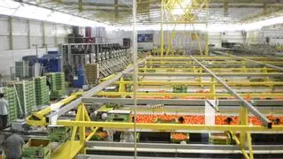 Las empresas agroalimentarias valencianas salen de compras