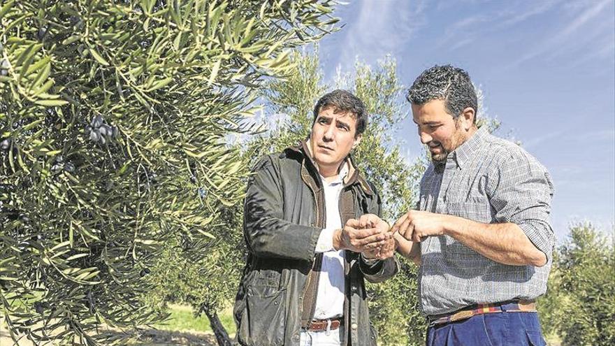 Aceites Manuel Coca, segundo oro en el NYIOCC de Nueva York