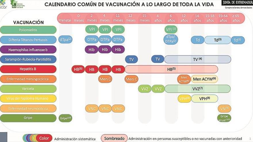 El primer calendario vacunal para todos