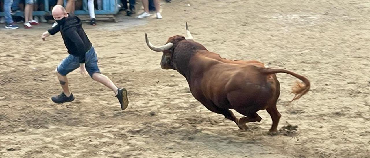 Los aficionados han disfrutado del juego ofrecido por los astados y los quiebros de los recortadores.