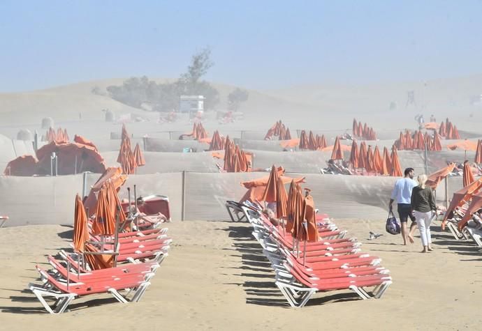 10/11/2019 MASPALOMAS. SAN BARTOLOME DE TIRAJANA. Ambiente en la playa de Maspalomas y Charca. Fotógrafa: YAIZA SOCORRO.  | 11/11/2019 | Fotógrafo: Yaiza Socorro