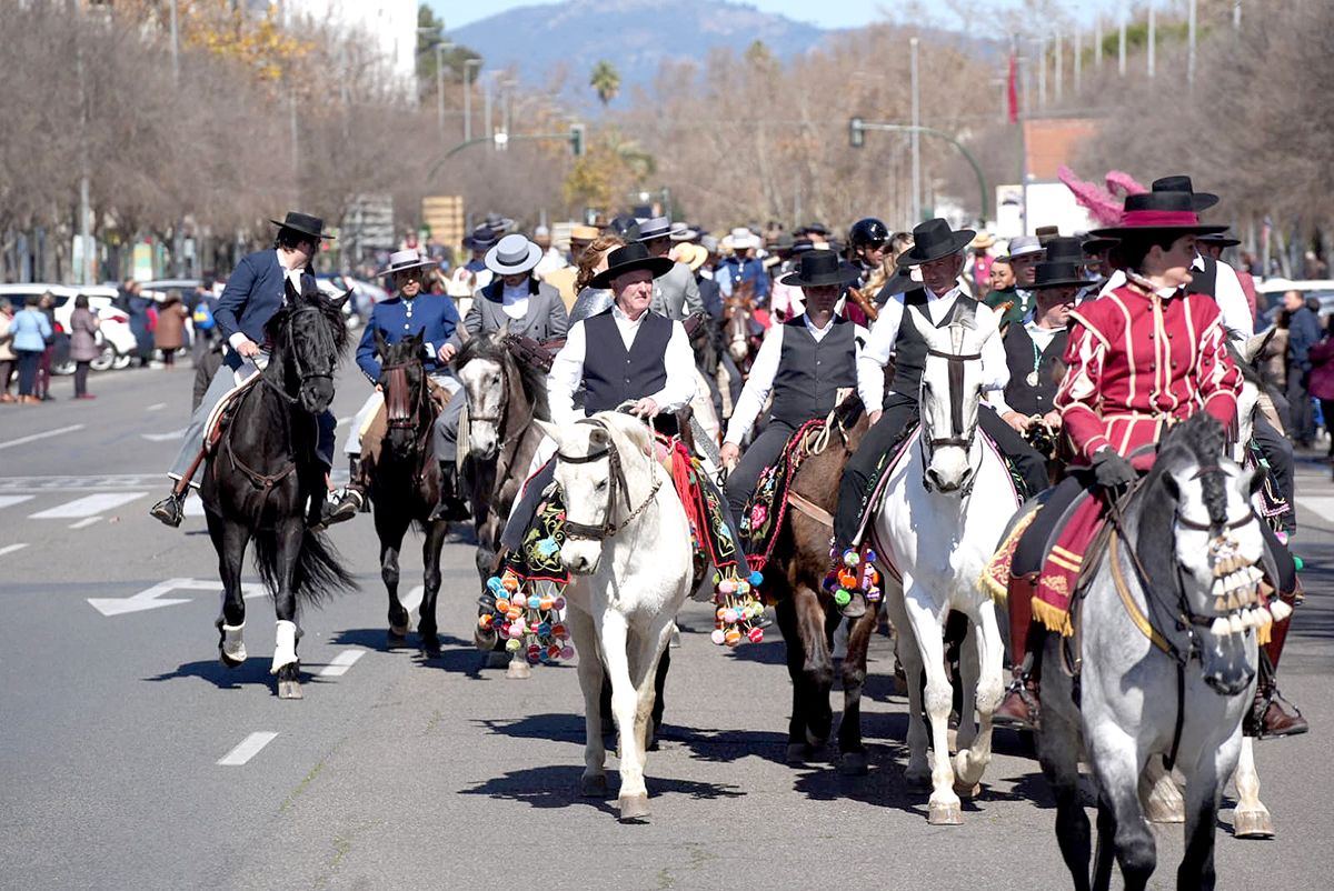 los caballos reinan en Córdoba el 28F