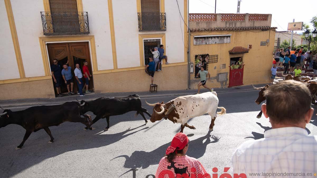 Quinto encierro Moratalla