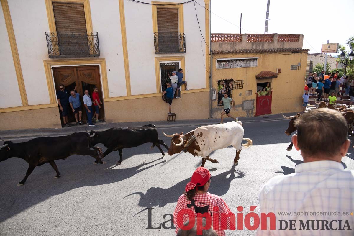 Quinto encierro Moratalla