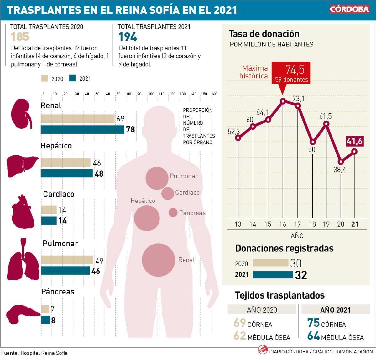 Trasplantes de órganos en el hospital Reina Sofía de Córdoba en el 2021.