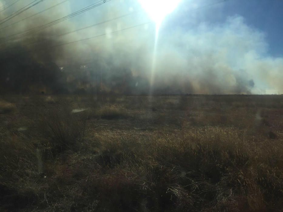 Incendio forestal en el Marjal dels Moros en Sagunt