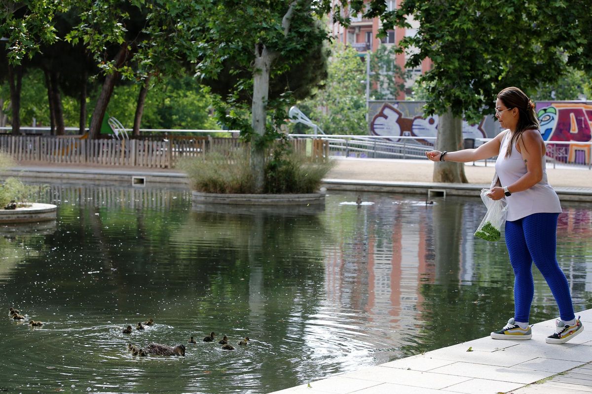 Una mujer echa comida a los patos del lago de los jardines del Baix Guinardó, en Barcelona.