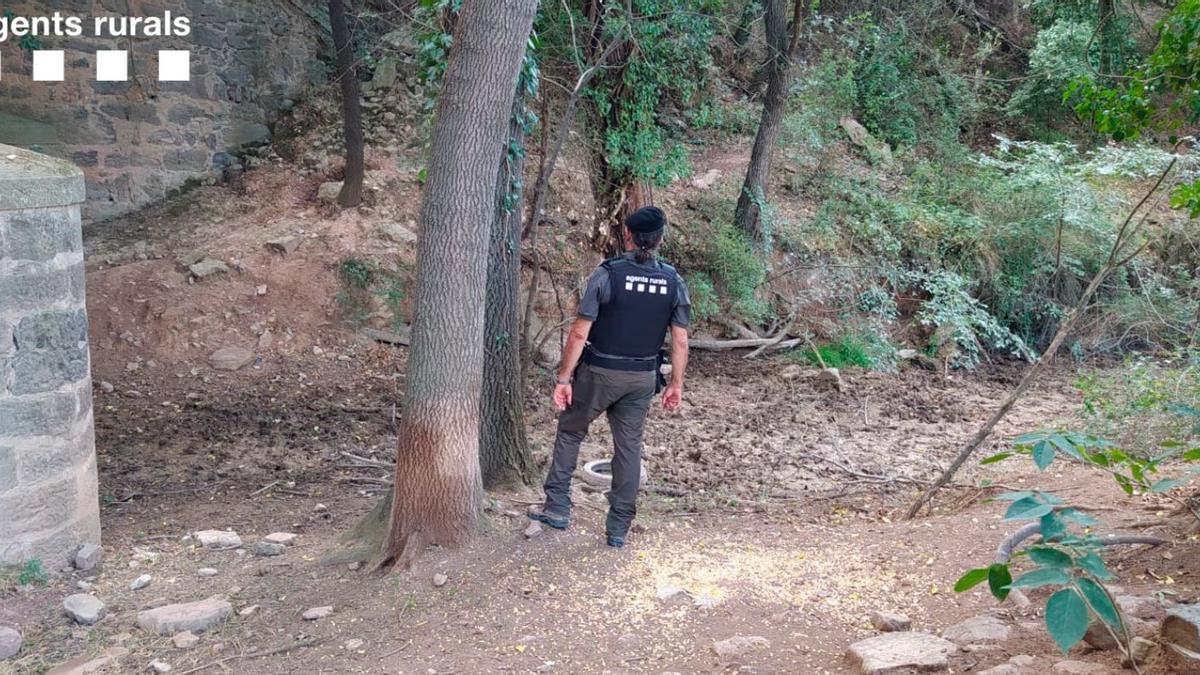 Un agent rural en una de les àrees privades de caça denunciades al Bages