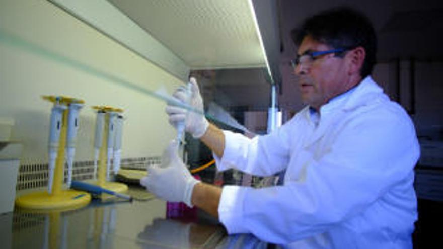 El Instituto de Salud Carlos III coordinará estudios virológicos europeos sobre la COVID-19