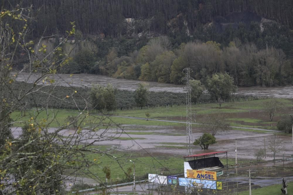 El río Nalón desbordado a su paso por Pravia y Quinzanas