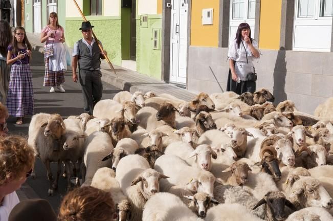 18/06/2016 ARUCAS . Romeria de ARUCAS. Foto: SABRINA CEBALLOS