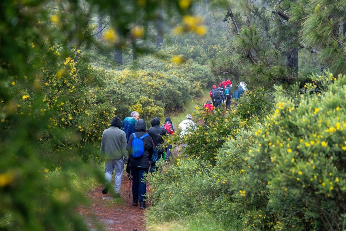 El Camino de los Valores concluye en Gáldar
