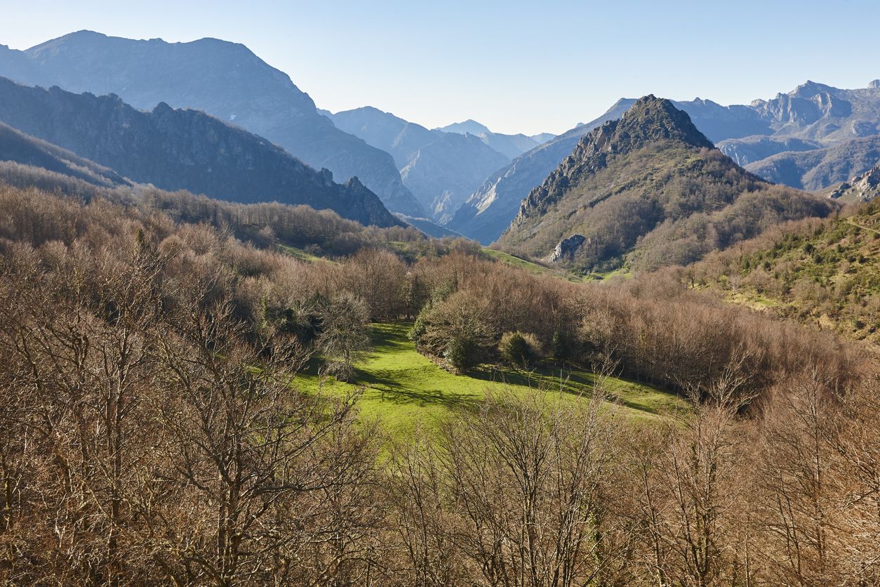 Paisaje forestal de montaña en Castilla León en Oseja de Sajambre.