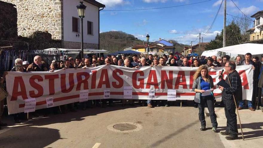 La ganadera Celia Villarroel y el regidor de pastos de la Montaña de Covadonga, Toño García, dan lectura a un manifiesto en favor de la ganadería tradicional a la entrada del Castañéu de Corao.