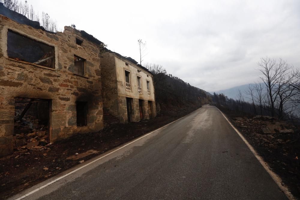 El Suroccidente asturiano arrasado por las llamas