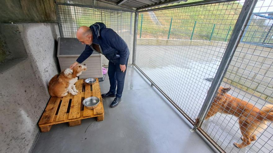 A Pobra acondicionou o centro de acollida de animais abandonados