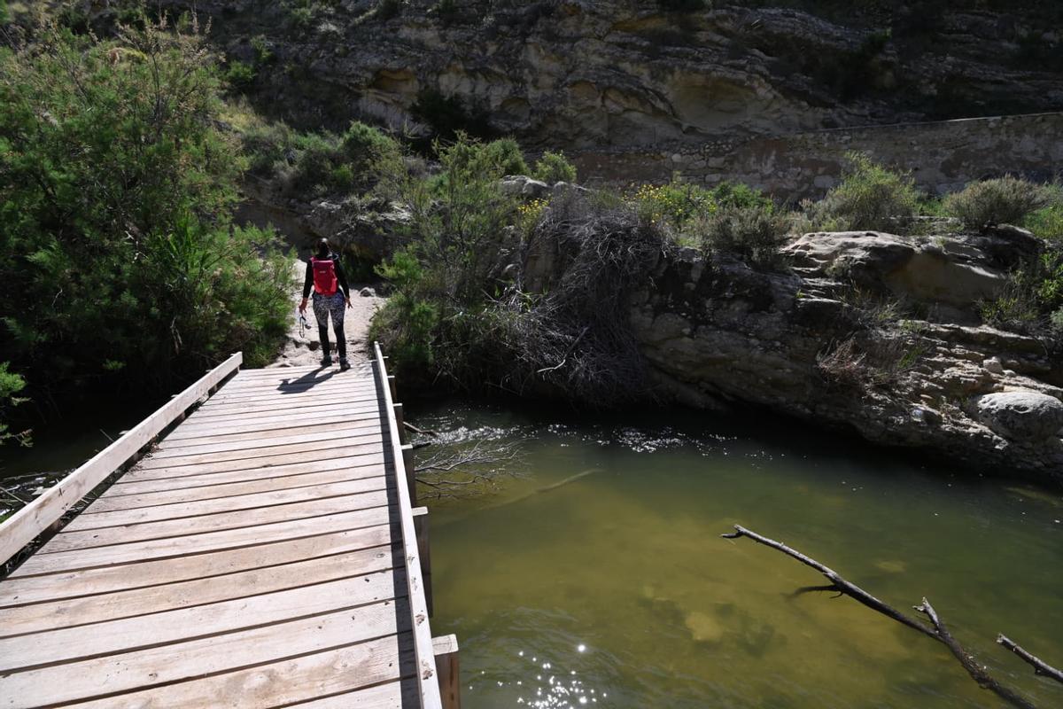 El Pantano de Elche, en una imagen de este lunes.