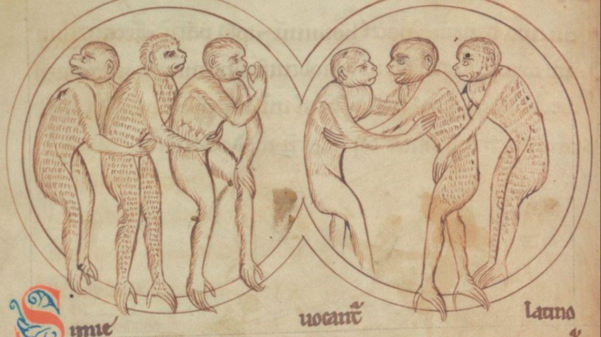 La combinación de arte, memoria y percepción sonora habría modificado la relación de los fieles con lo sagrado.