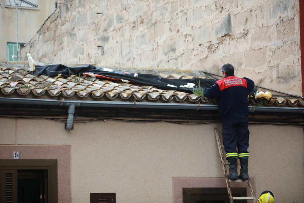 Incidentes por el temporal este domingo