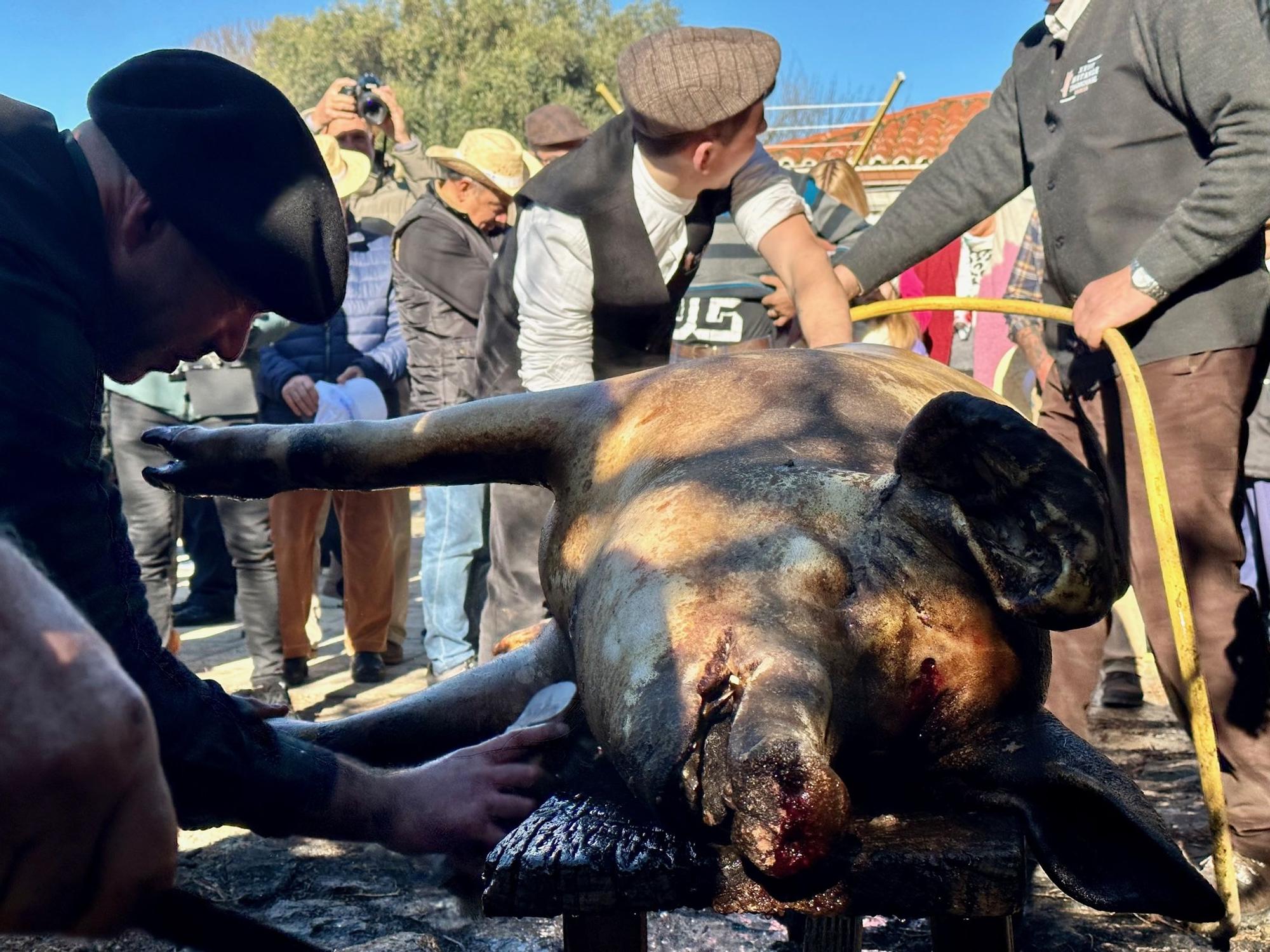 La Matanza do Porco en imágenes