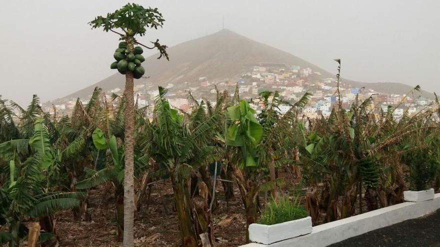 ¿Buscas desconexión total? Este mirador secreto del norte de Gran Canaria es lo que necesitas