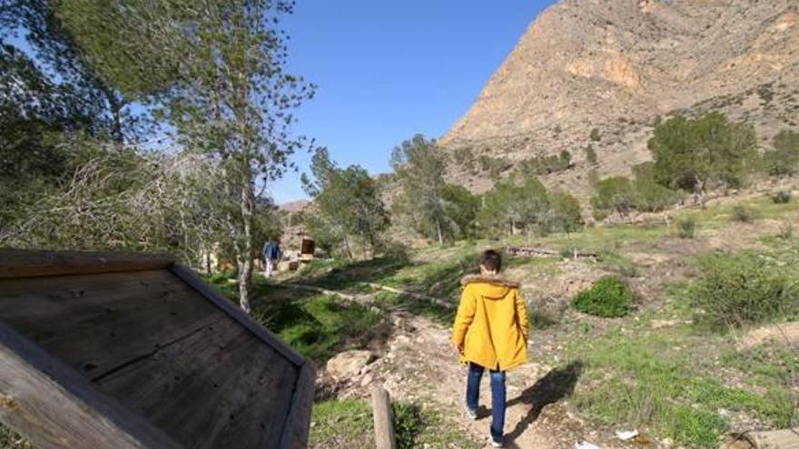 Redován regará el paraje de La Ermita con agua de un pozo de un canal pagado por Diputación