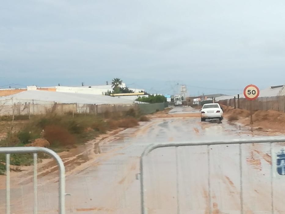 Las lluvias han dejado entre 15 y 30 litros por metro cuadrado en la Vega Baja