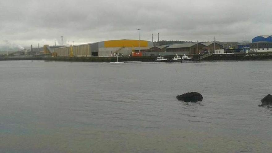 El vertido detectado ayer en la ría, en la dársena de San Juan.