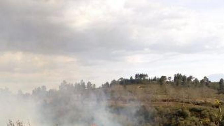 Incendio en San Martín del Pedroso