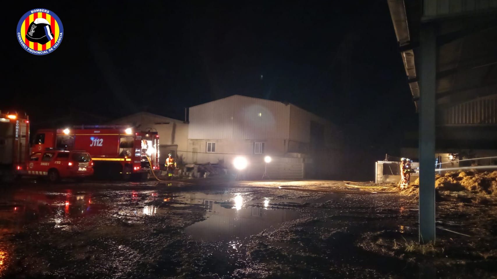 Un incendio en un palmeral afecta a una granja en Xàtiva