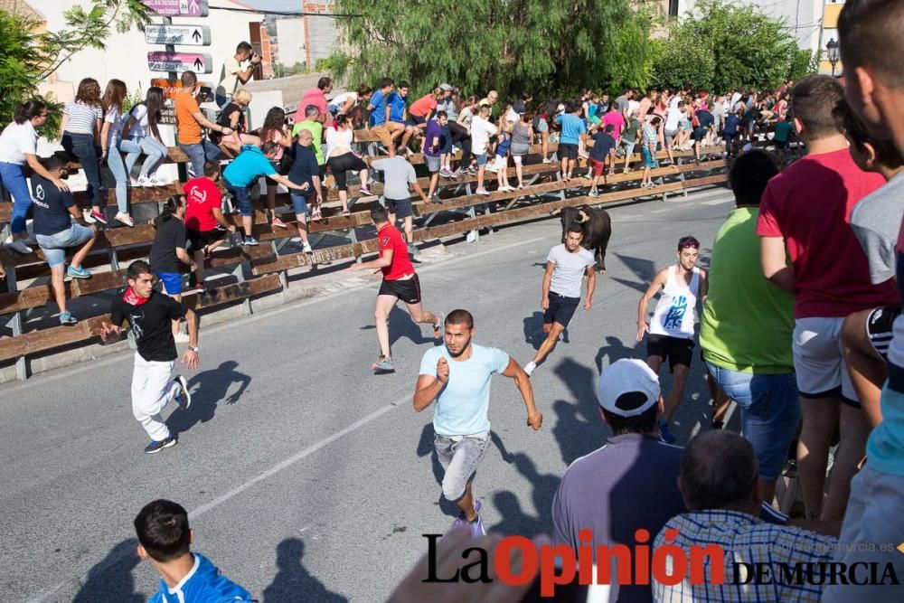 Cuarto encierro Fiestas de Moratalla