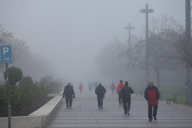 FOTOGALERÍA / Una densa niebla despierta Córdoba