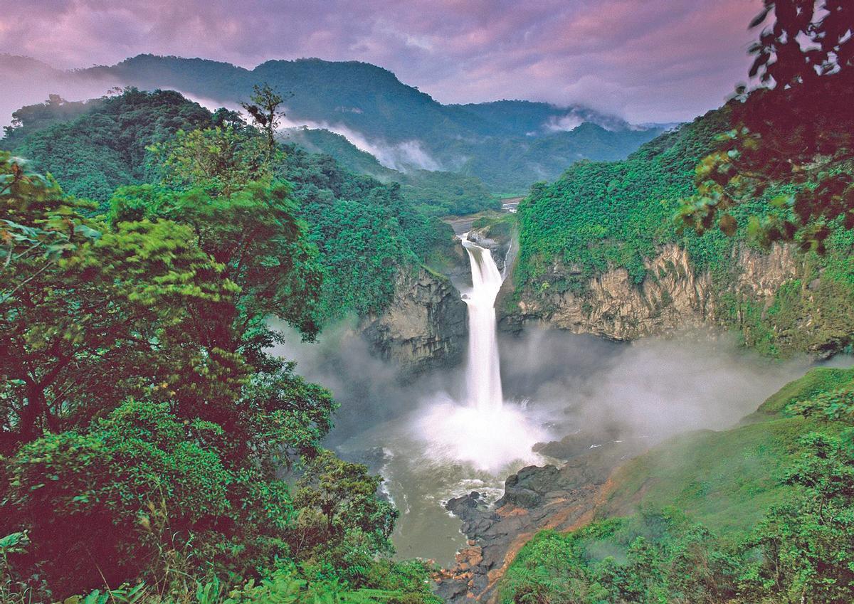 Parque nacional Yasuní en el Amazonas