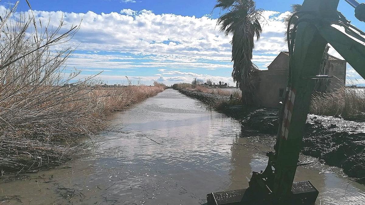 COMUNIDAD VALENCIANA.-Valencia.-El Ayuntamiento draga 11 kilómetros de canales y desbroza 48.000 metros cuadrados de vegetación de la Albufera