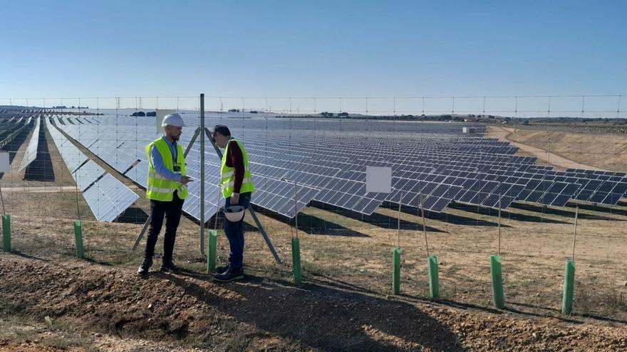 Dos personas trabajan junto a una planta fotovoltaica en Toro. | C. T.