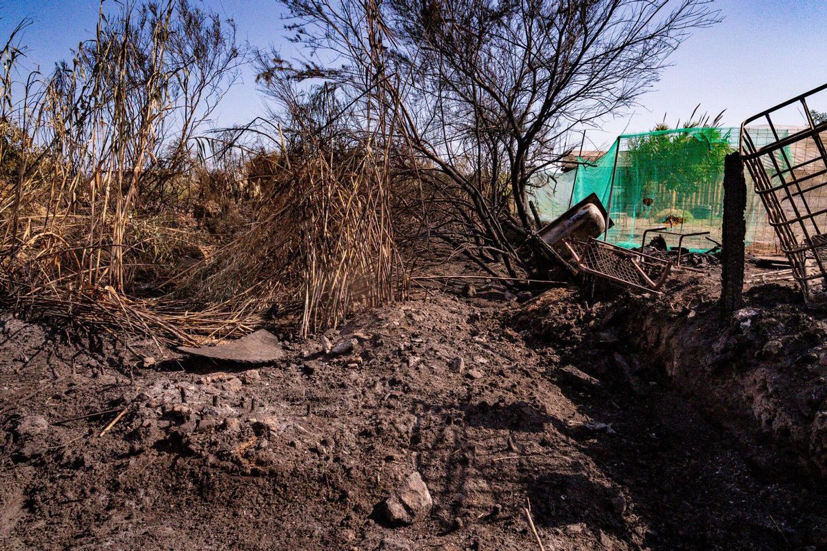 El 1 de julio de 2025, un día después del incendio, la zona de barracas cercana al Port de Barcelona mostraba el devastador impacto en las viviendas. En el mismo lugar, se conversó con vecinos que residen en chabolas improvisadas y que se han establecido allí recientemente.