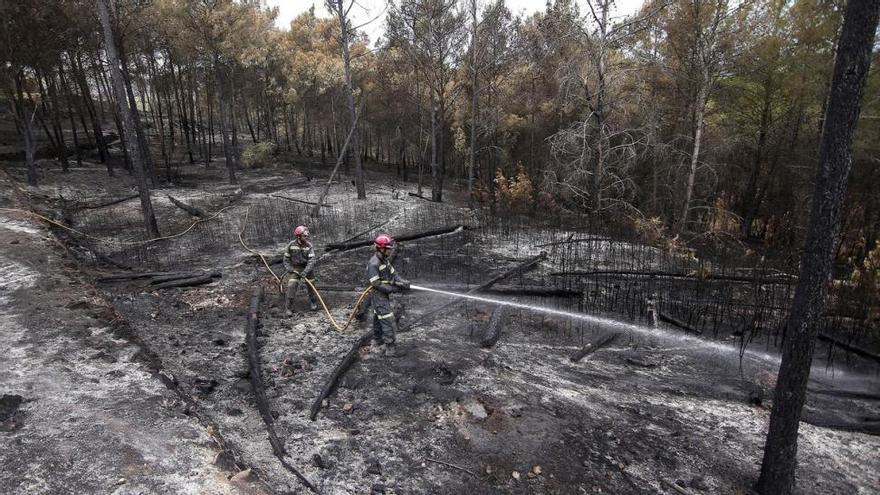 Extinguido el incendio de la Sierra Calderona que se inició el 28 de junio